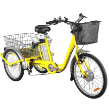 China Cheap Electric Cargo Tricycle
